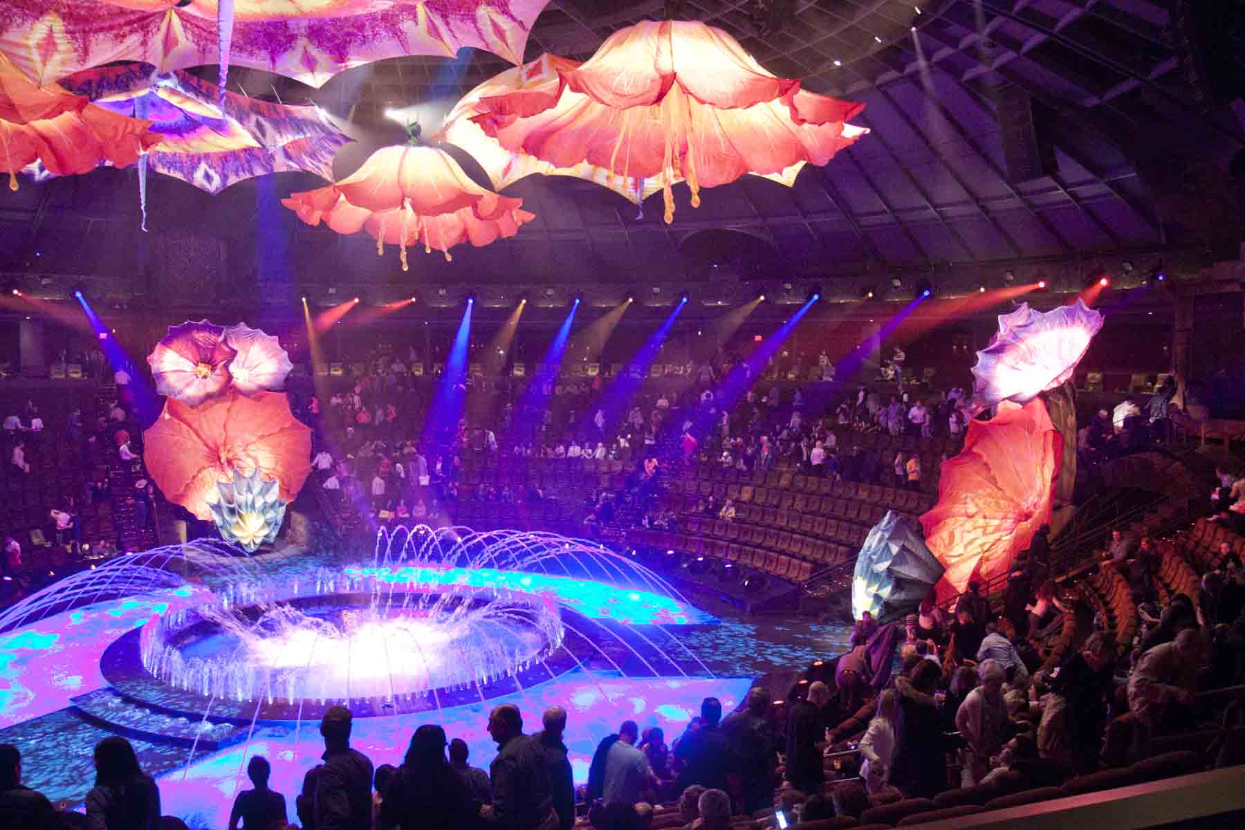 Le Reve Best Seats | Brokeasshome.com